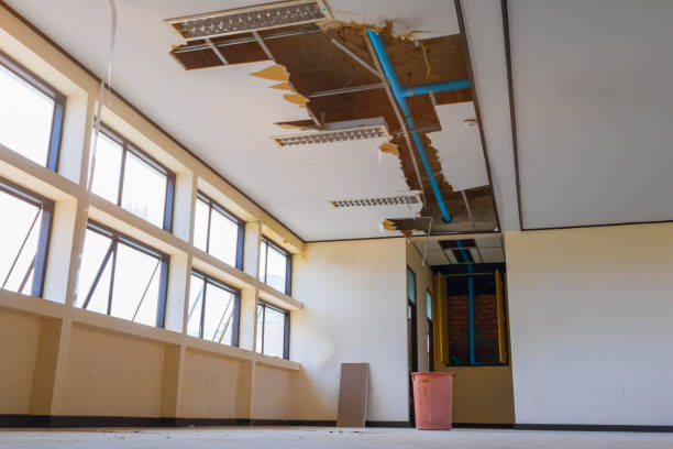 Best Flood damage cleanup  in Fort Valley, AZ