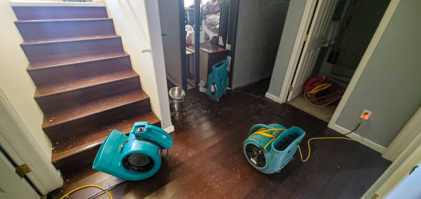 Best Mold removal after water damage  in Fort Valley, AZ