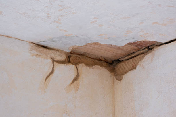 Best Professional water damage repair  in Fort Valley, AZ