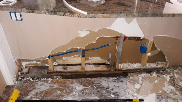 Best Basement water damage restoration  in Fort Valley, AZ