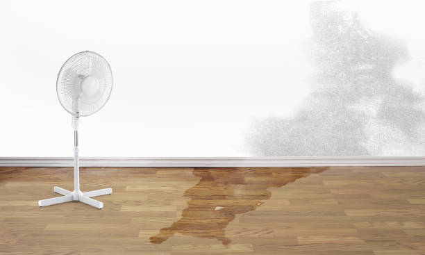 Best Carpet water damage restoration  in Fort Valley, AZ