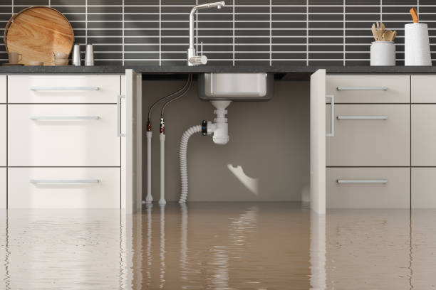 Best Local water damage restoration  in Fort Valley, AZ
