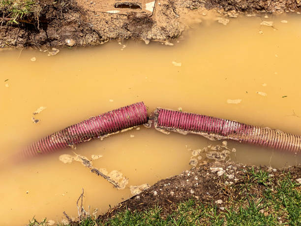 Best Water damage cleanup near me  in Fort Valley, AZ