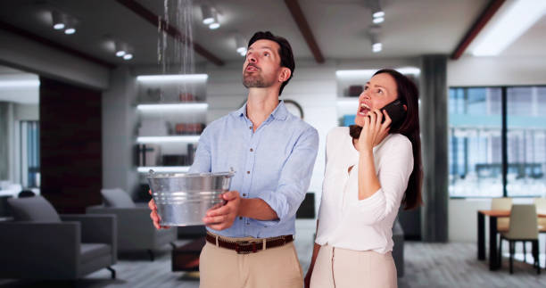 Best Water damage restoration company  in Fort Valley, AZ