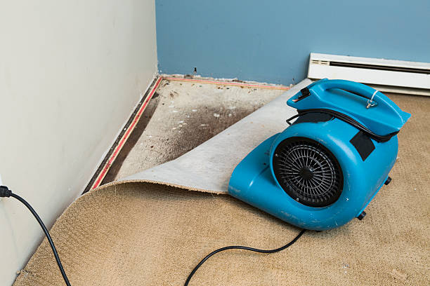 Best Flood restoration services  in Fort Valley, AZ